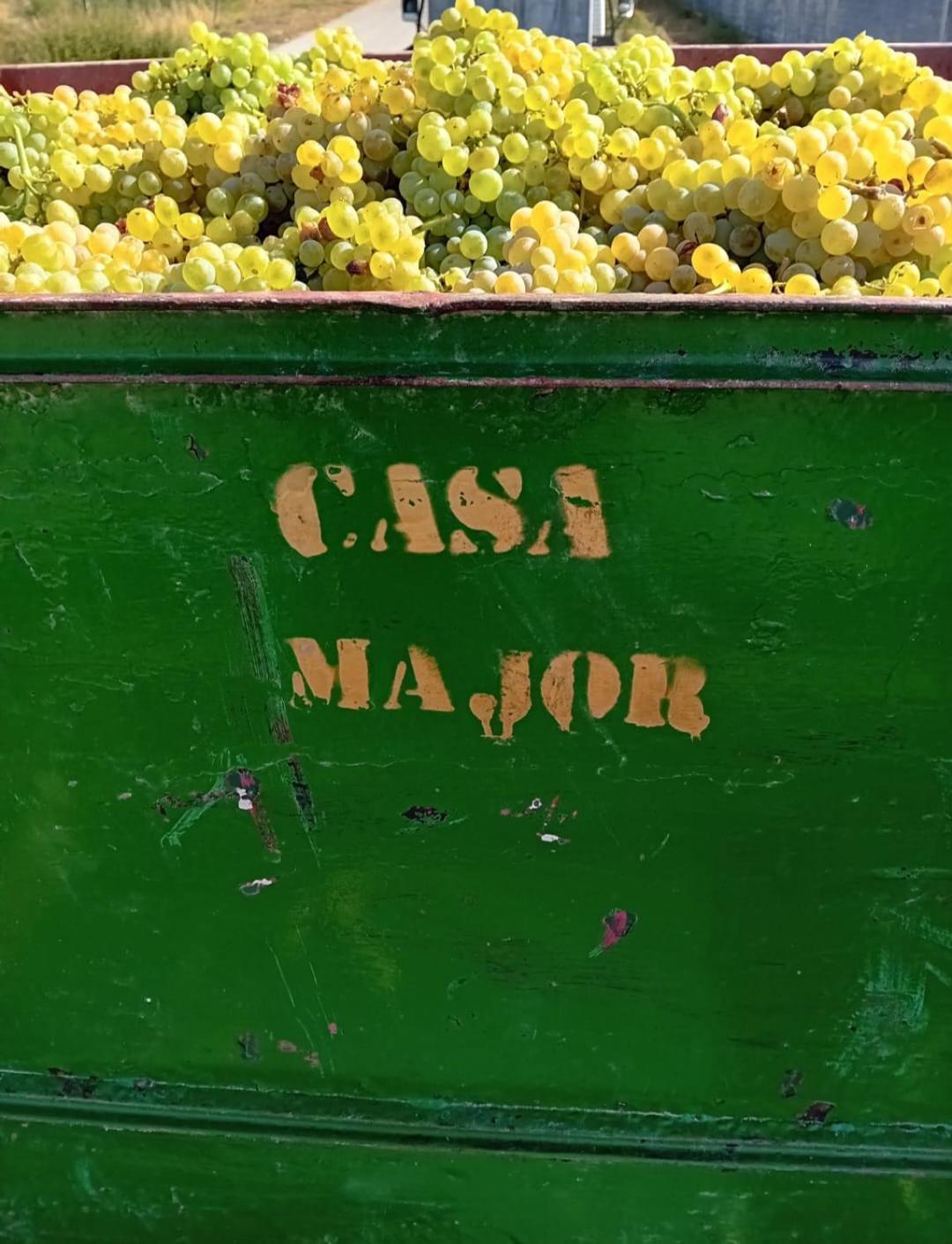 Casa Major Bed & Breakfast Pegarinhos Luaran gambar